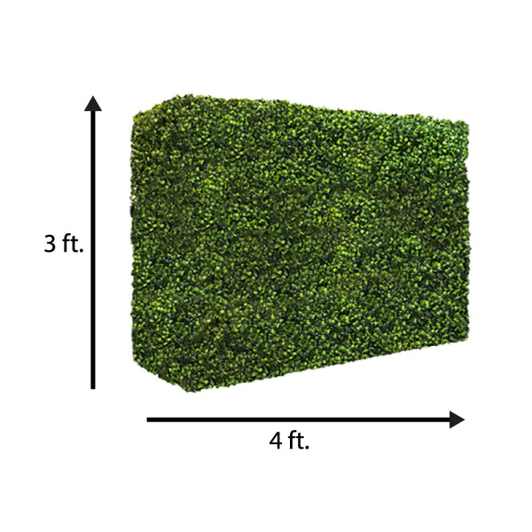 Hedges as Walls and Walkways