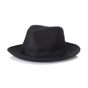 Fedora Hat /  Wide Brim Hat